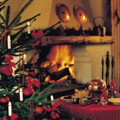 Aftageligt stik - lyskæde Neas 35 lyskilder