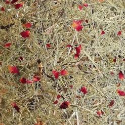 ALMUT 2610 bordlampe, hø med røde rosenblade