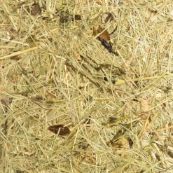 ALMUT 2610-væglampe Ø 25 cm, hø