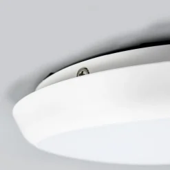 Arcchio LED-loftlampe Augustin, Ø 20 cm, 4.000 K, IP54