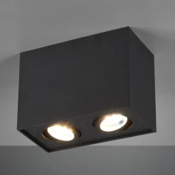Biscuit loftlampe, 2 lyskilder, sort