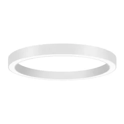 BRUMBERG Biro Circle Ring Loft Ø 75 cm DALI hvid 3000 K