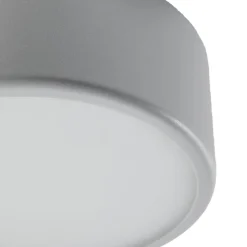 Cleo 200 loftlampe, grå, sensor, IP20, Ø 20 cm, E27