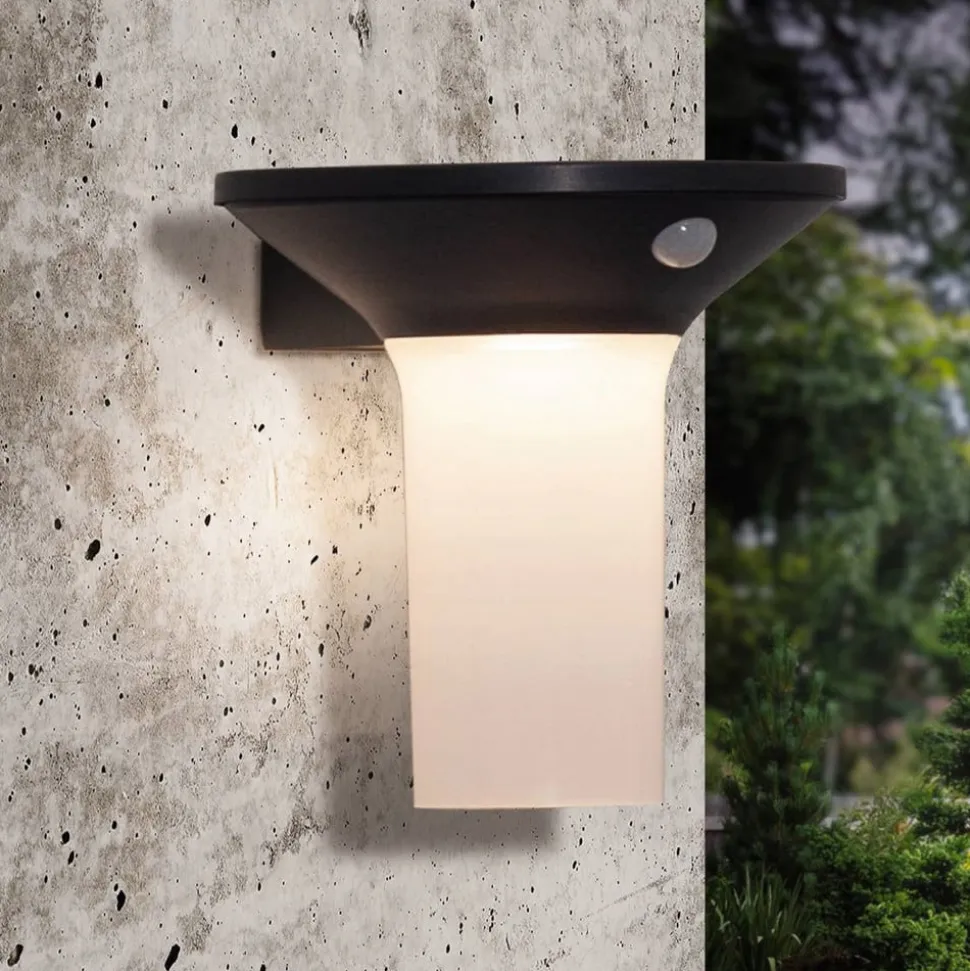 Corbezzola udendørs LED-væglampe, sort, sensor