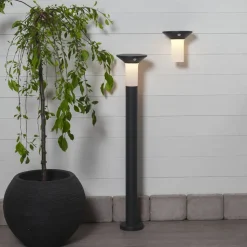 Corbezzola udendørs LED-væglampe, sort, sensor