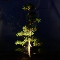 dot-spot Clarios Mini spotlight med jordspyd Basic Set