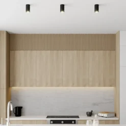 Downlight Eye S i cylinderform, sort