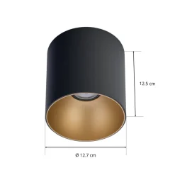 Downlight Point Tone, sort/guld