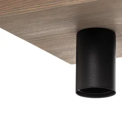 Envostar Lobo loftslampe 2fl. fyrretræsgrå