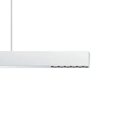 ERCO Compar P DALI up/down oval wide hvid/sølv 930