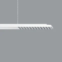 ERCO Jilly P DALI up/down oval wide hvid/sølv 840