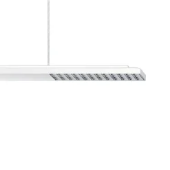 ERCO Jilly P DALI up/down oval wide hvid/sølv 840