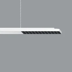 ERCO Jilly P DALI up/down, oval wide hvid/sort 840