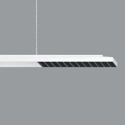 ERCO Jilly P DALI up/down, oval wide hvid/sort 830