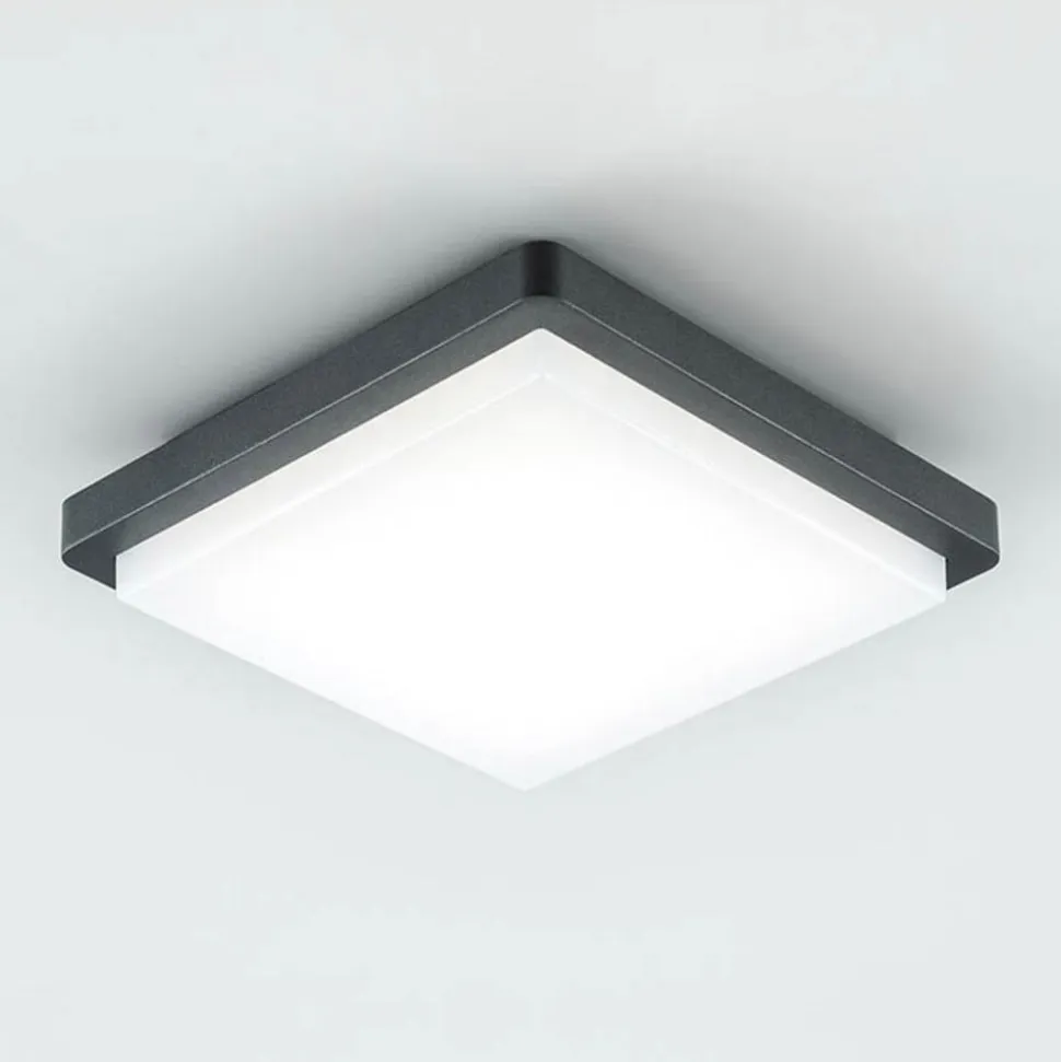 EVN LED udendørs loftlampe Tectum, 23x23 cm, antracit, 150°