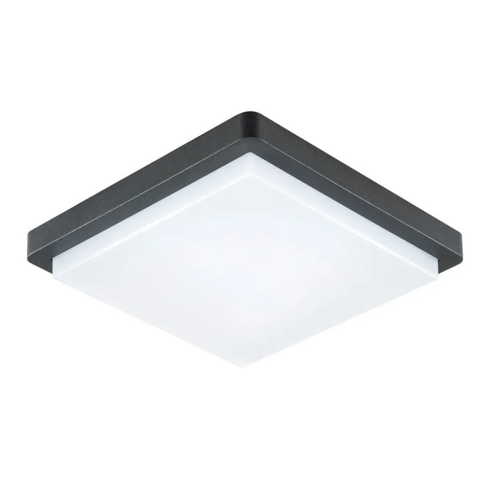 EVN LED udendørs loftlampe Tectum, 23x23 cm, antracit, 150°