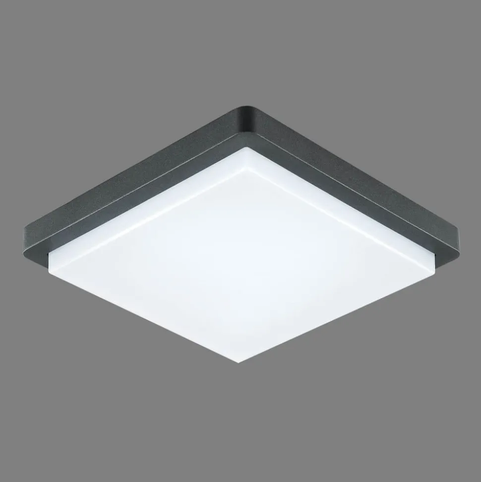 EVN LED udendørs loftlampe Tectum, 23x23 cm, antracit, 150°