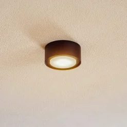 Flea loftsspot i stål, sort