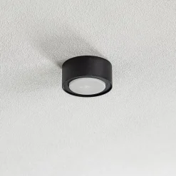 Flea loftsspot i stål, sort