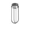 FLOS In Vitro Ceiling loftlampe, 2.700 K, antracit