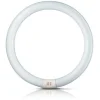 G10q 40W 840 ring-lysstofrør Master Circular TL-E