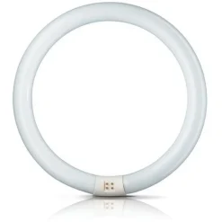 G10q 40W 840 ring-lysstofrør Master Circular TL-E