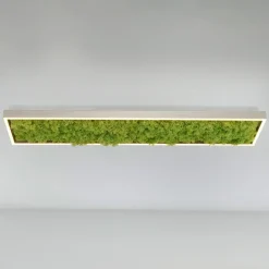 Green Knut LED-loftlampe med ægte mos