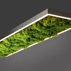 Green Knut LED-loftlampe med ægte mos