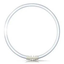 2GX13 60W 840 ringformet lysstofrør Master TL5