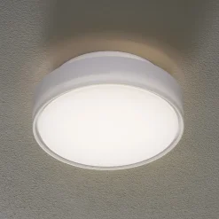 Hatton LED-loftlampe, IP65, 25 cm