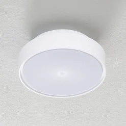 Hatton LED-loftlampe, IP65, 25 cm