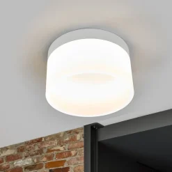 Helestra Liv LED-loftlampe Ø 20 cm