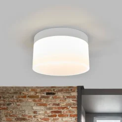 Helestra Liv LED-loftlampe Ø 20 cm