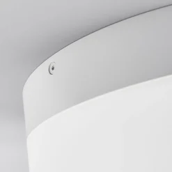 Helestra Liv LED-loftlampe Ø 20 cm