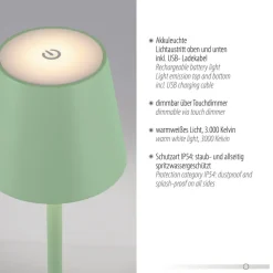 JUST LIGHT. Euria LED-bordlampe, grøn, jern, IP54