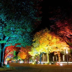 LED udendørs spotlight med farvetone Flores XL, IP44, CCT, RGB