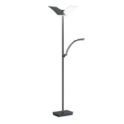 LED-gulvlampe Andy, 3 lyskilder, antracit, CCT, dæmper