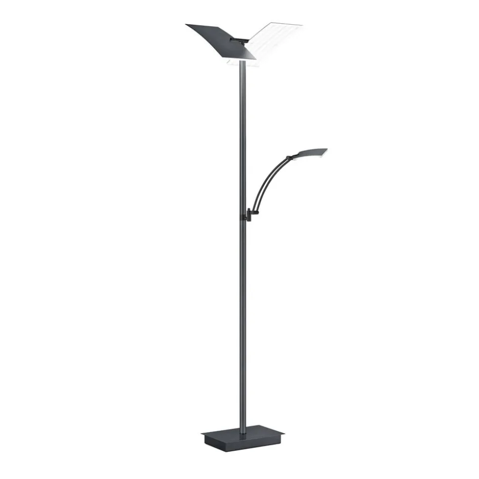 LED-gulvlampe Andy, 3 lyskilder, antracit, CCT, dæmper