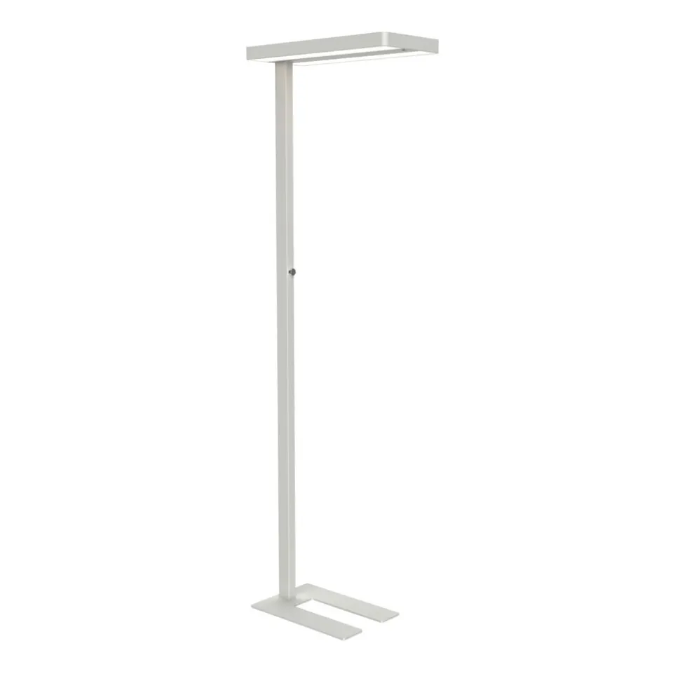 LED-gulvlampe MAULjuvis, hvid, 196 cm, fod, dæmpbar