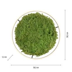 LED-loftlampe Green Ritus, mos dæmpbar Ø58,5cm