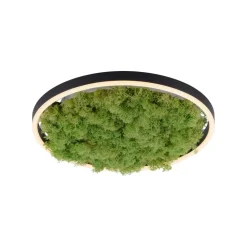 LED-loftlampe Grøn Ritus, mos dæmpbar Ø39,3cm