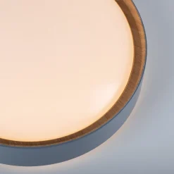 LED-loftslampe Emilia, tretrins dæmpbar, grå