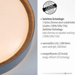 LED-loftslampe Emilia, tretrins dæmpbar, grå