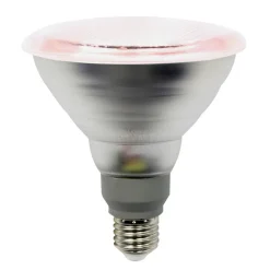 LED-plantepære E27 PAR38 12W 50° strålevinkel