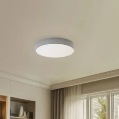 Loftlampe Cleo, Ø 50 cm, IP54, grå, metal, E27