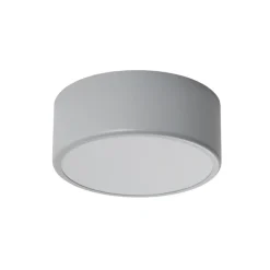 Loftlampe Cleo, Ø 20 cm, IP54, grå, metal, E27