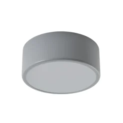 Loftlampe Cleo, Ø 20 cm, IP54, grå, metal, E27