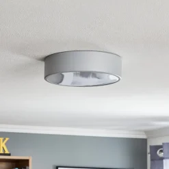 Loftlampe Cleo 300, IP54, Ø 30 cm grå