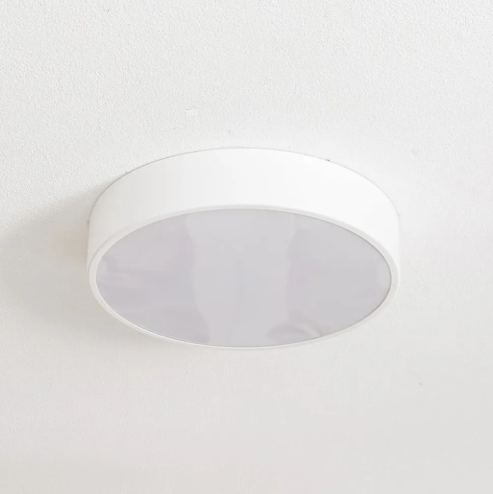 Loftlampe Cleo 400, IP54, Ø 40 cm hvid