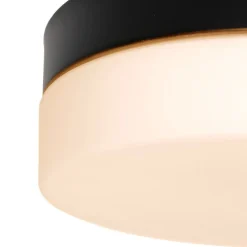 Loftlampe Ikaro sort, Ø 18 cm, metal, plast